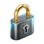 🔒